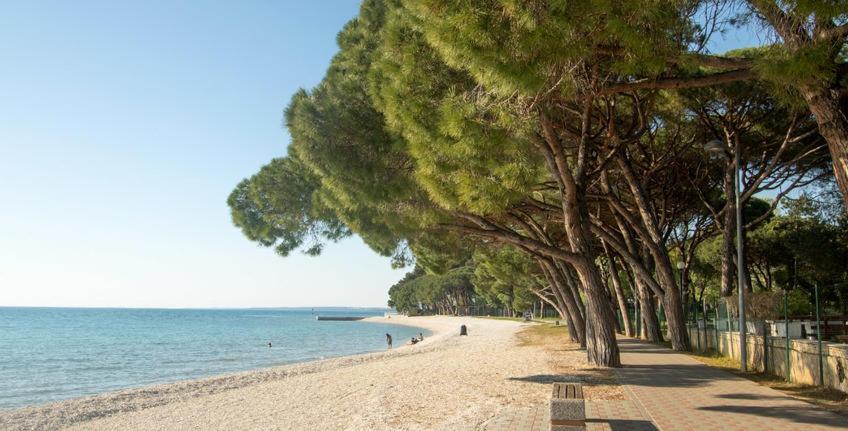 Deluxe Apartment Bluebay Oasis Fažana Εξωτερικό φωτογραφία